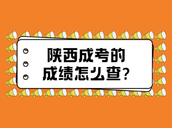 陜西成考的成績怎么查?