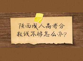 陜西成人高考分?jǐn)?shù)線不夠怎么辦?