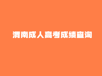 渭南成人高考成績查詢