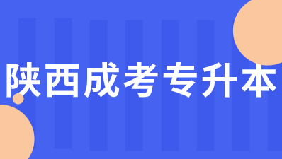 2024年陜西成人高考專升本考試考什么？