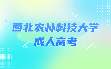 西北農(nóng)林科技大學(xué)成考網(wǎng)上報名流程解析